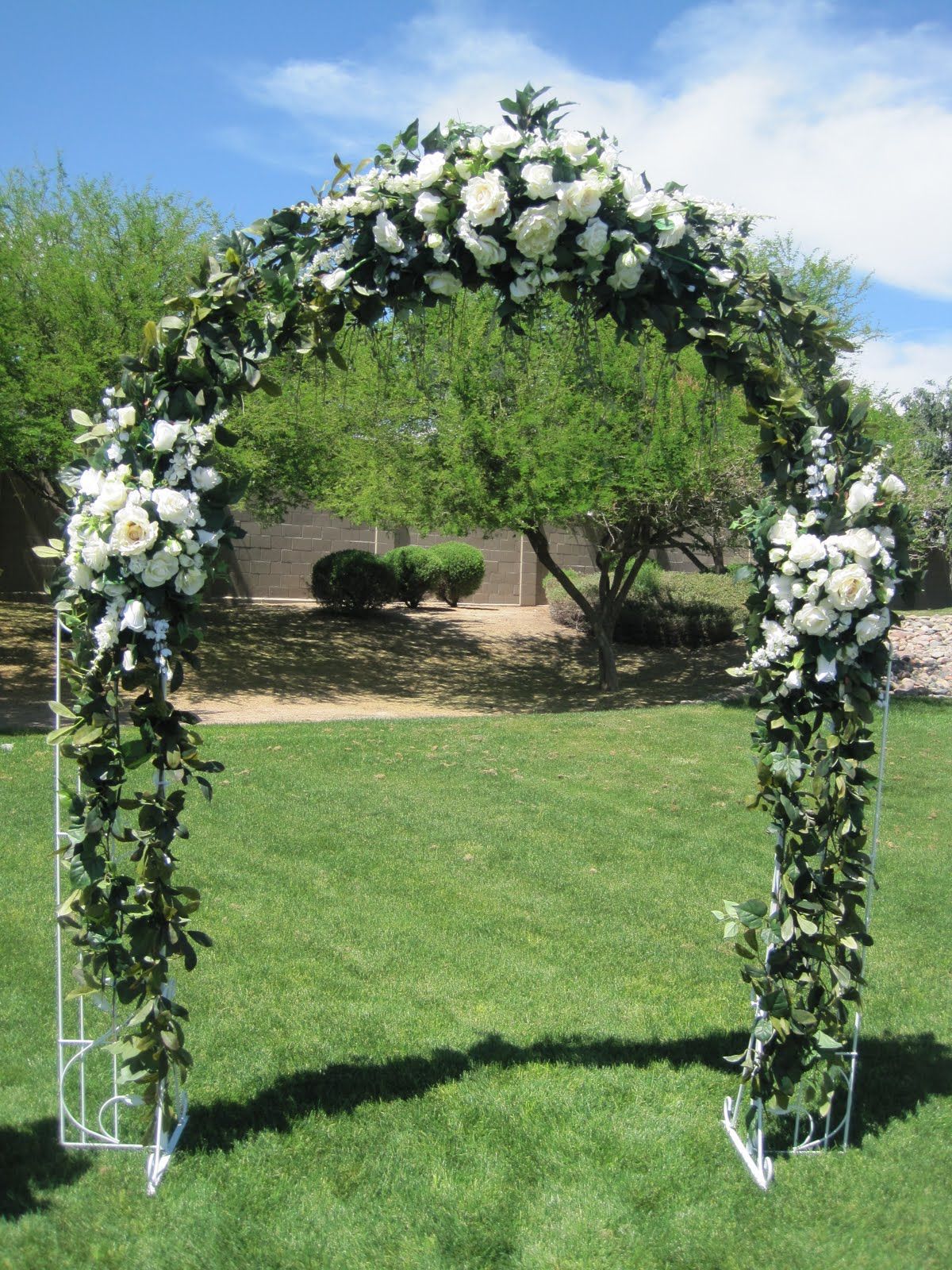 🪞 Arch Backdrop – Medium (36x72") Rentals