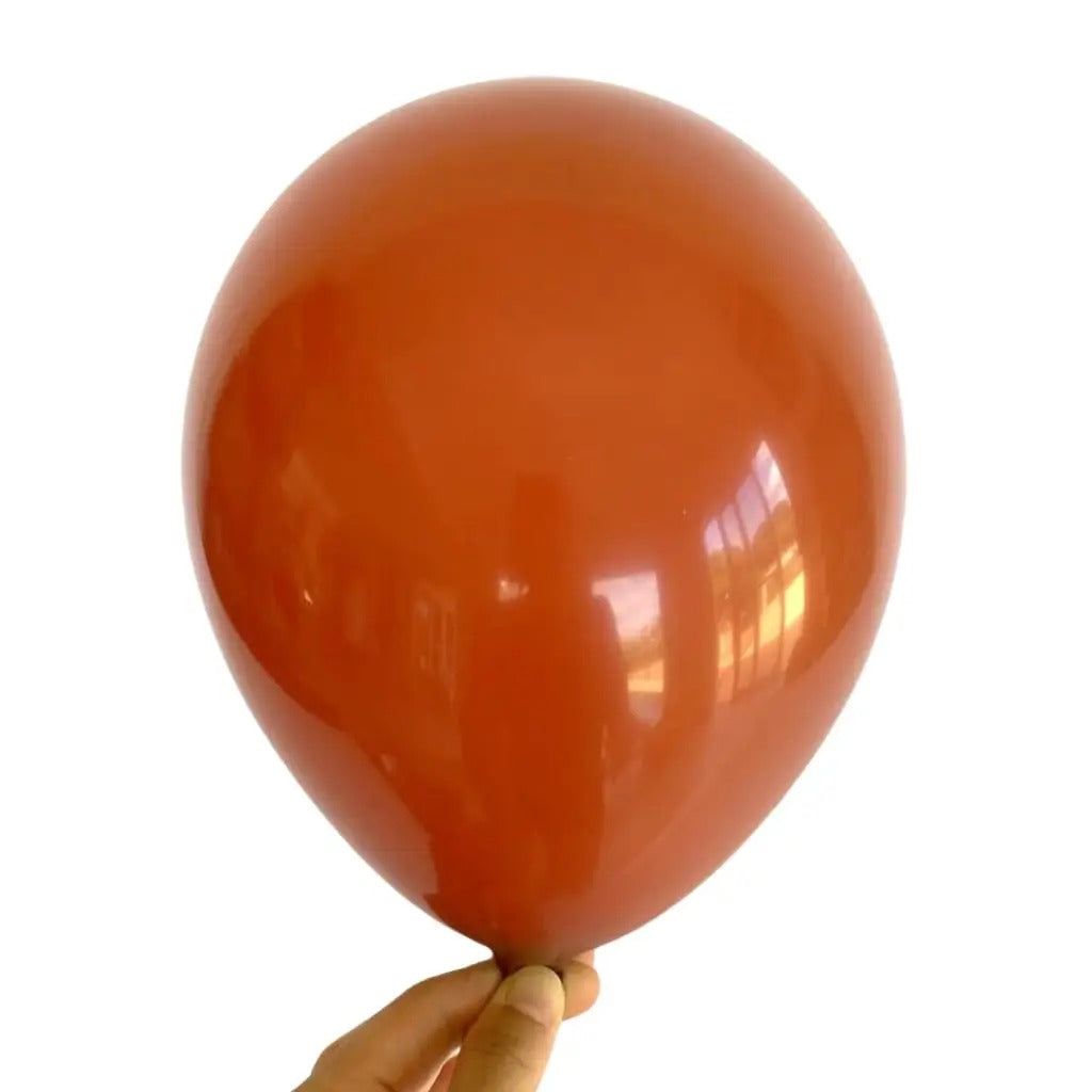 12 Latex Ballons