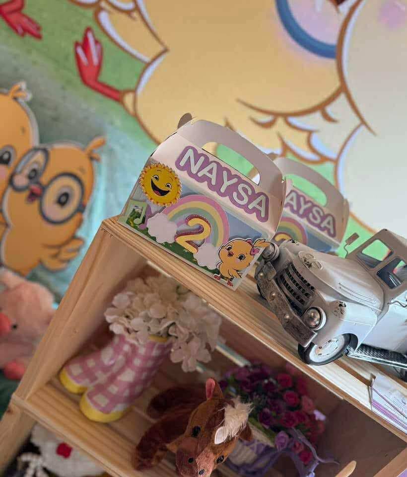 Customizable Treat Boxes for Birthdays