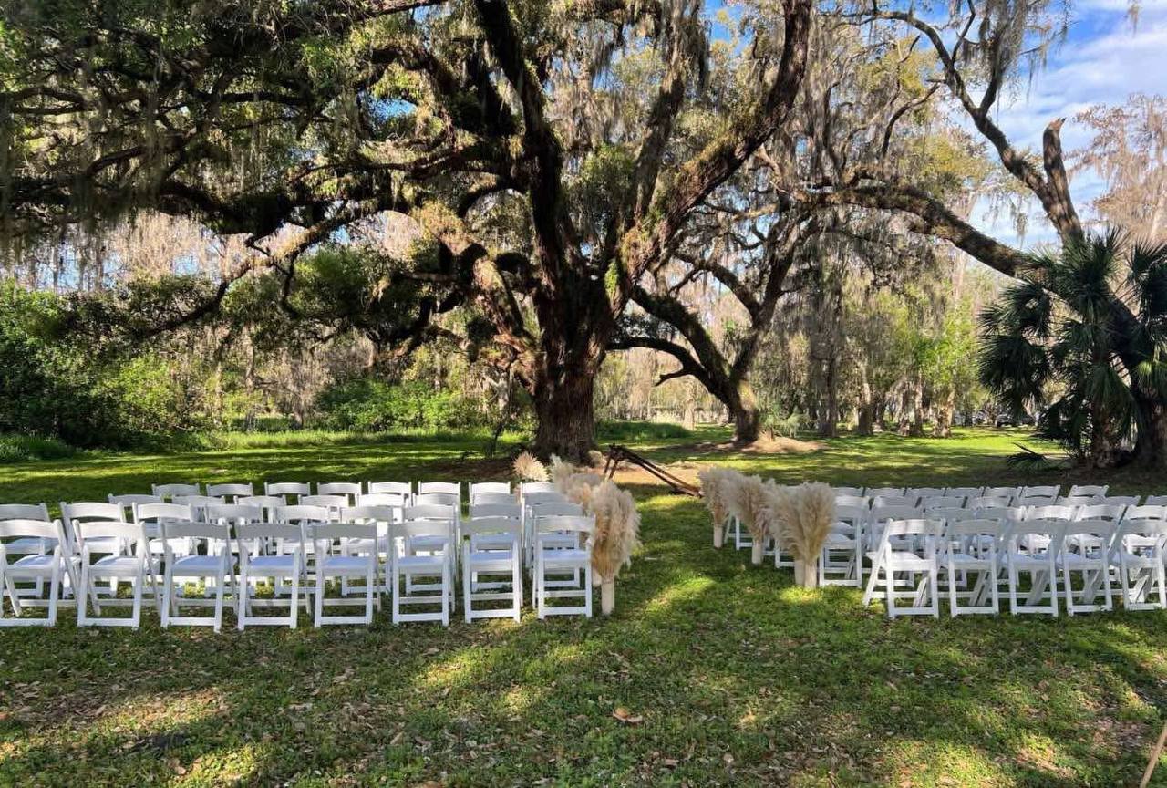 Adult Chairs Rentals