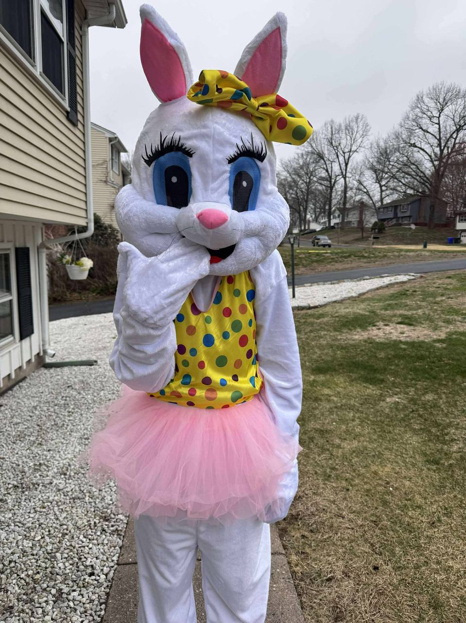 Easter Bunny Visits for 30 min