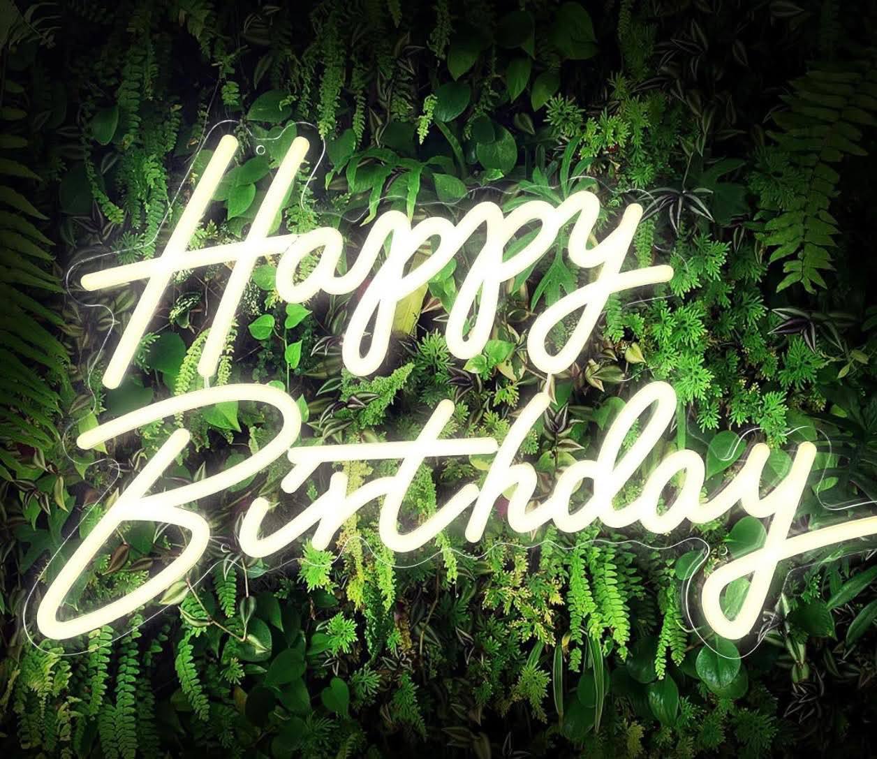Neon light Rentals